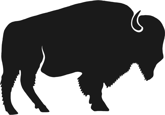 Buffalo Credit Solutions Logo